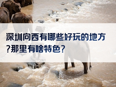 深圳向西有哪些好玩的地方？那里有啥特色？