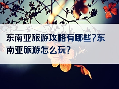 东南亚旅游攻略有哪些？东南亚旅游怎么玩？