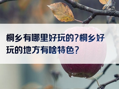 桐乡有哪里好玩的？桐乡好玩的地方有啥特色？