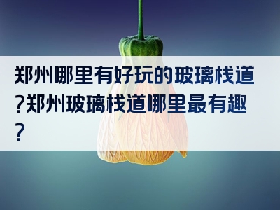 郑州哪里有好玩的玻璃栈道？郑州玻璃栈道哪里最有趣？
