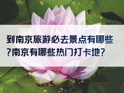 到南京旅游必去景点有哪些？南京有哪些热门打卡地？