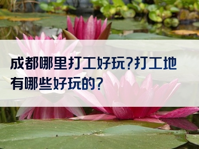 成都哪里打工好玩？打工地有哪些好玩的？