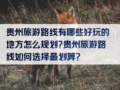 贵州旅游路线有哪些好玩的地方怎么规划？贵州旅游路线如何选择最划算？