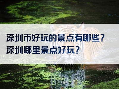 深圳市好玩的景点有哪些？深圳哪里景点好玩？