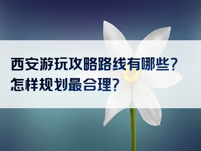 西安游玩攻略路线有哪些？怎样规划最合理？