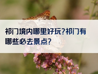祁门境内哪里好玩？祁门有哪些必去景点？