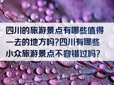四川的旅游景点有哪些值得一去的地方吗？四川有哪些小众旅游景点不容错过吗？