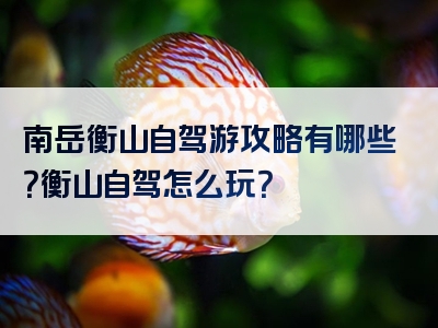 南岳衡山自驾游攻略有哪些？衡山自驾怎么玩？