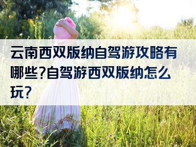 云南西双版纳自驾游攻略有哪些？自驾游西双版纳怎么玩？