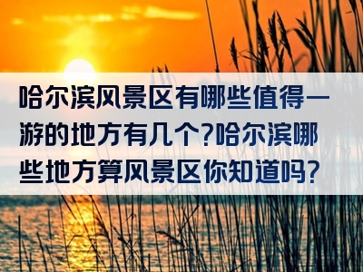 哈尔滨风景区有哪些值得一游的地方有几个？哈尔滨哪些地方算风景区你知道吗？