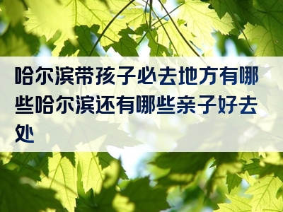 哈尔滨带孩子必去地方有哪些哈尔滨还有哪些亲子好去处