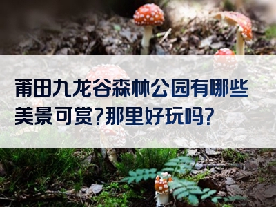 莆田九龙谷森林公园有哪些美景可赏？那里好玩吗？