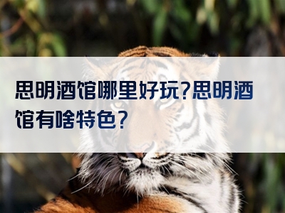 思明酒馆哪里好玩？思明酒馆有啥特色？