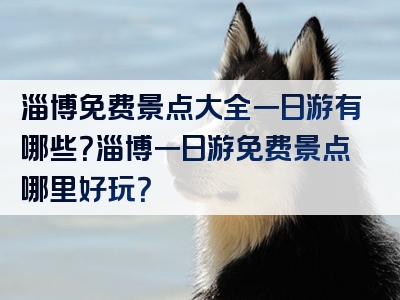 淄博免费景点大全一日游有哪些？淄博一日游免费景点哪里好玩？