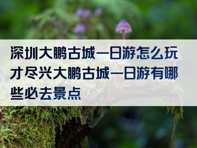 深圳大鹏古城一日游怎么玩才尽兴大鹏古城一日游有哪些必去景点