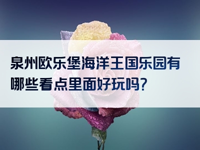 泉州欧乐堡海洋王国乐园有哪些看点里面好玩吗？