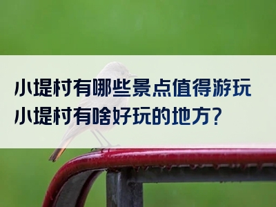 小堤村有哪些景点值得游玩小堤村有啥好玩的地方？