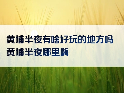 黄埔半夜有啥好玩的地方吗黄埔半夜哪里嗨
