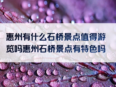 惠州有什么石桥景点值得游览吗惠州石桥景点有特色吗