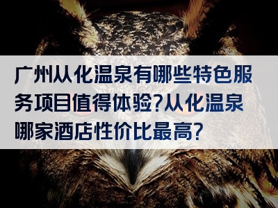 广州从化温泉有哪些特色服务项目值得体验？从化温泉哪家酒店性价比最高？