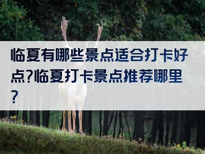 临夏有哪些景点适合打卡好点？临夏打卡景点推荐哪里？