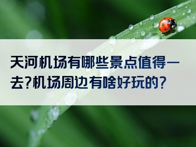 天河机场有哪些景点值得一去？机场周边有啥好玩的？