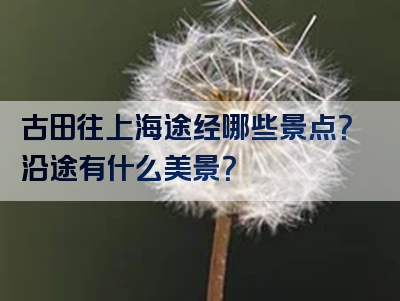 古田往上海途经哪些景点？沿途有什么美景？