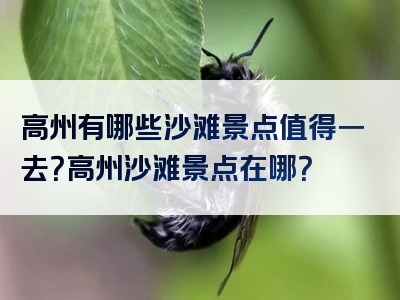 高州有哪些沙滩景点值得一去？高州沙滩景点在哪？