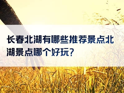 长春北湖有哪些推荐景点北湖景点哪个好玩？