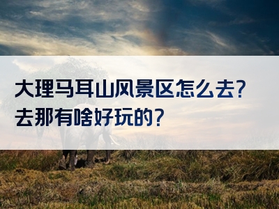 大理马耳山风景区怎么去？去那有啥好玩的？