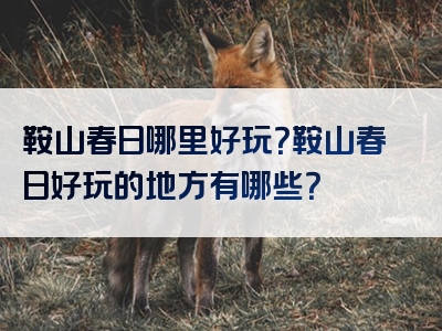鞍山春日哪里好玩？鞍山春日好玩的地方有哪些？