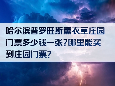 哈尔滨普罗旺斯薰衣草庄园门票多少钱一张？哪里能买到庄园门票？