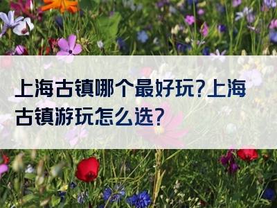 上海古镇哪个最好玩？上海古镇游玩怎么选？