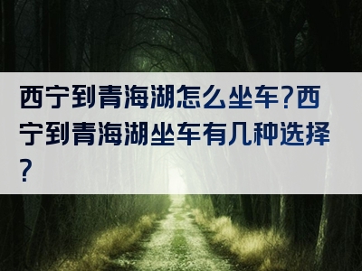 西宁到青海湖怎么坐车？西宁到青海湖坐车有几种选择？
