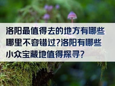 洛阳最值得去的地方有哪些哪里不容错过？洛阳有哪些小众宝藏地值得探寻？