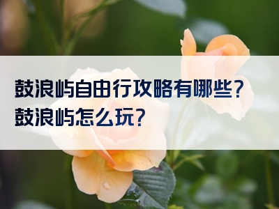 鼓浪屿自由行攻略有哪些？鼓浪屿怎么玩？