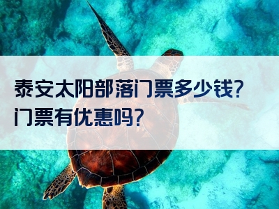 泰安太阳部落门票多少钱？门票有优惠吗？