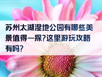 苏州太湖湿地公园有哪些美景值得一探？这里游玩攻略有吗？