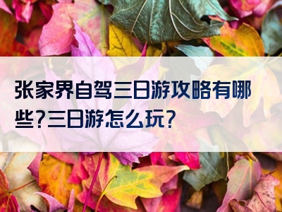张家界自驾三日游攻略有哪些？三日游怎么玩？