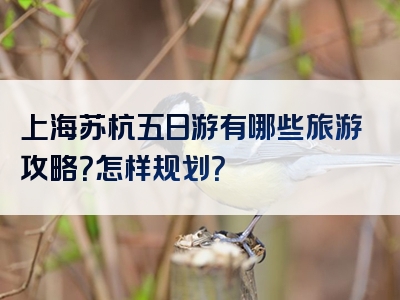 上海苏杭五日游有哪些旅游攻略？怎样规划？