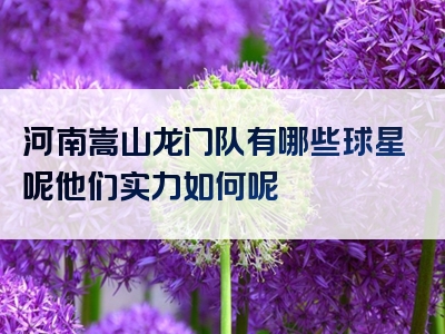 河南嵩山龙门队有哪些球星呢他们实力如何呢