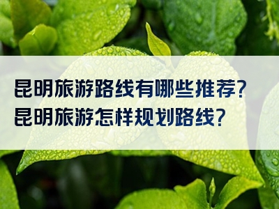 昆明旅游路线有哪些推荐？昆明旅游怎样规划路线？