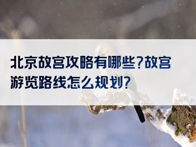 北京故宫攻略有哪些？故宫游览路线怎么规划？