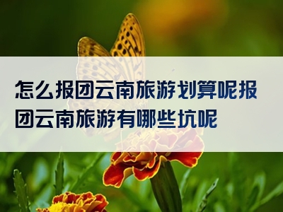 怎么报团云南旅游划算呢报团云南旅游有哪些坑呢