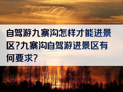 自驾游九寨沟怎样才能进景区？九寨沟自驾游进景区有何要求？