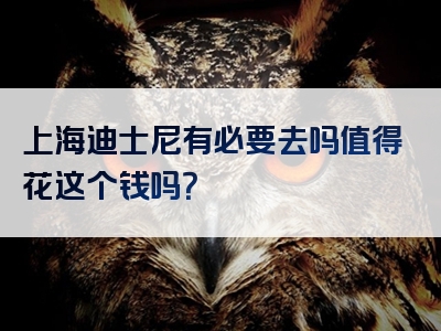 上海迪士尼有必要去吗值得花这个钱吗？