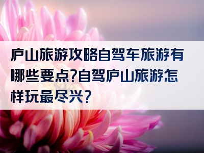 庐山旅游攻略自驾车旅游有哪些要点？自驾庐山旅游怎样玩最尽兴？