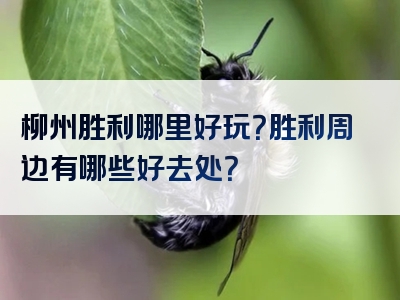 柳州胜利哪里好玩？胜利周边有哪些好去处？