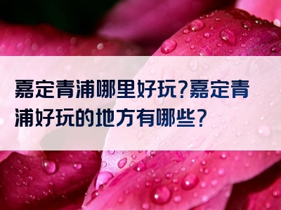 嘉定青浦哪里好玩？嘉定青浦好玩的地方有哪些？