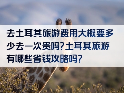 去土耳其旅游费用大概要多少去一次贵吗？土耳其旅游有哪些省钱攻略吗？
